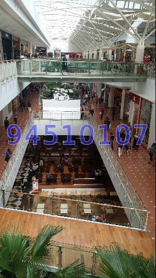 The Centris (D22), Apartment #9300942